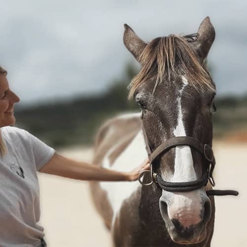 EEC Italia - Horse Coaching Experience 1