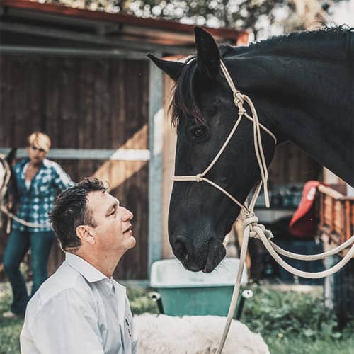 EEC Italia - Horse Coaching Experience 4
